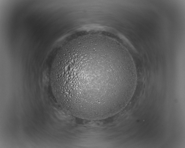 X0000083011063200702091245