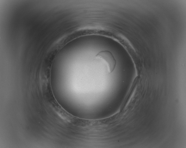 X0000083011064200702091245