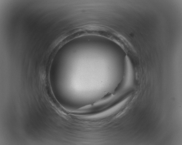 X0000083011065200702091245