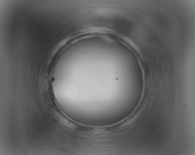 X0000083011067200702091245