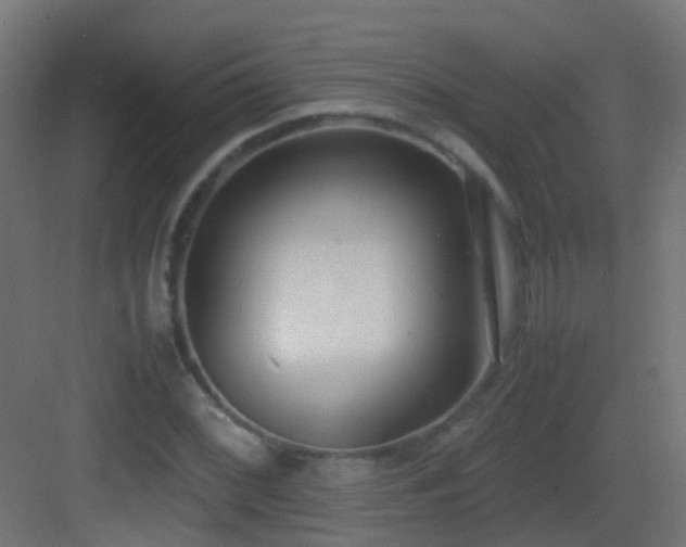 X0000083011068200702091245