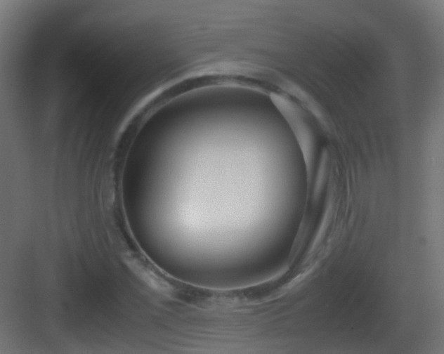 X0000083011069200702091245