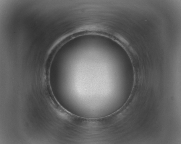 X0000083011070200702091245