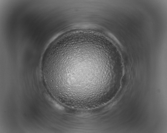 X0000083011071200702091245