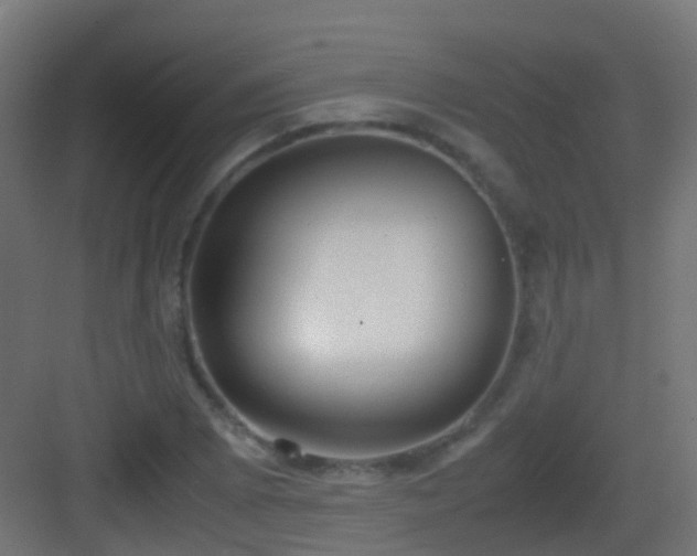 X0000083011073200702091244