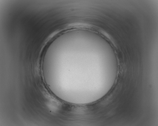 X0000083011074200702091244