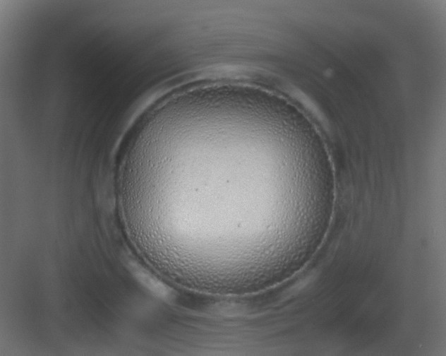 X0000083011075200702091244