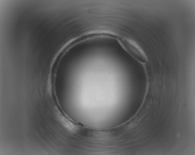 X0000083011076200702091244