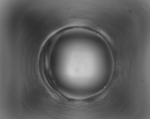 X0000083011077200702091244