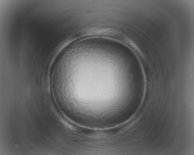 X0000083011079200702091244