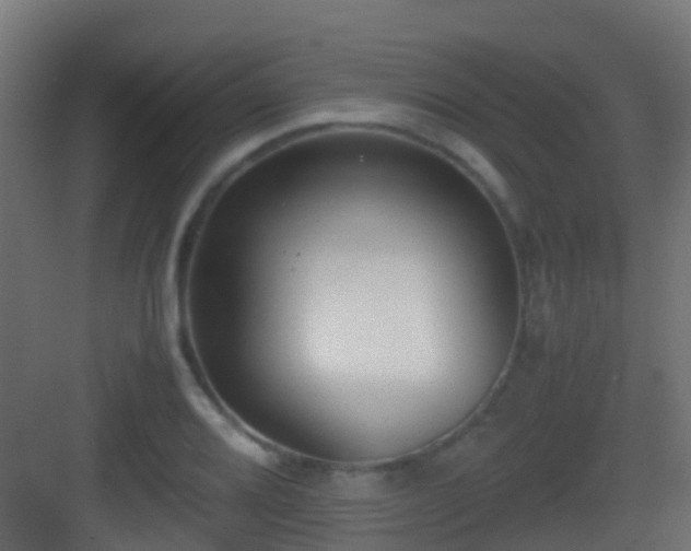 X0000083011080200702091244