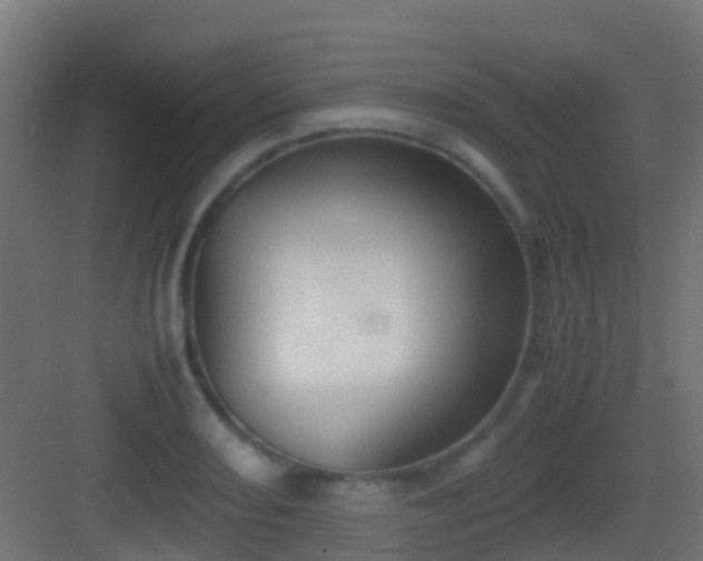 X0000083011082200702091244