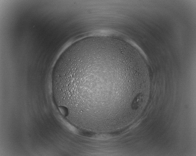 X0000083011083200702091244