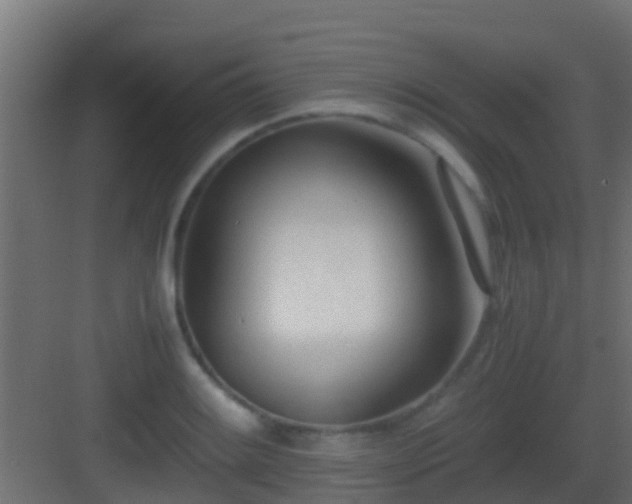 X0000083011084200702091244