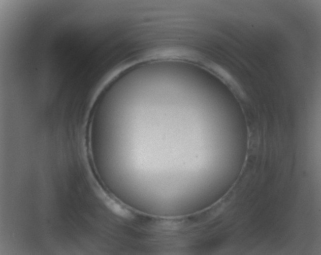 X0000083011086200702091244