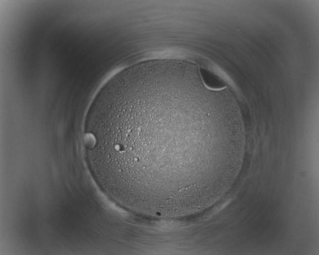 X0000083011087200702091244