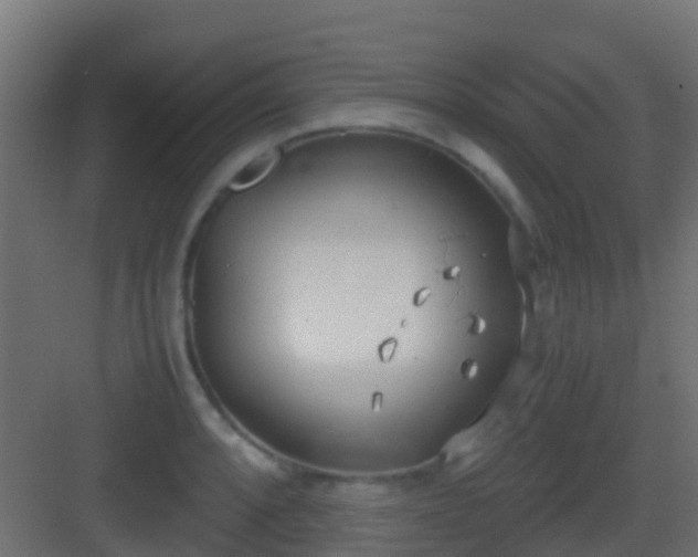 X0000083011088200702091244