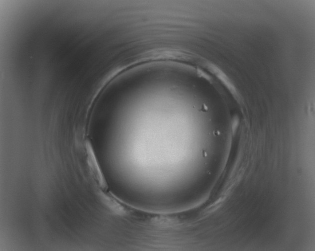 X0000083011089200702091244