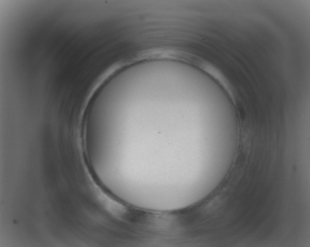 X0000083011090200702091244