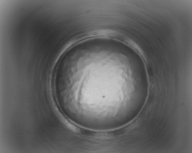 X0000083011091200702091244