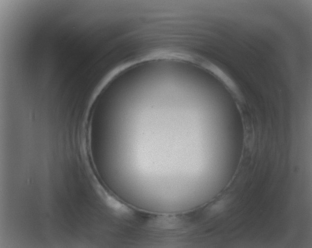 X0000083011094200702091244