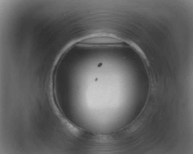 X0000083011096200702091244