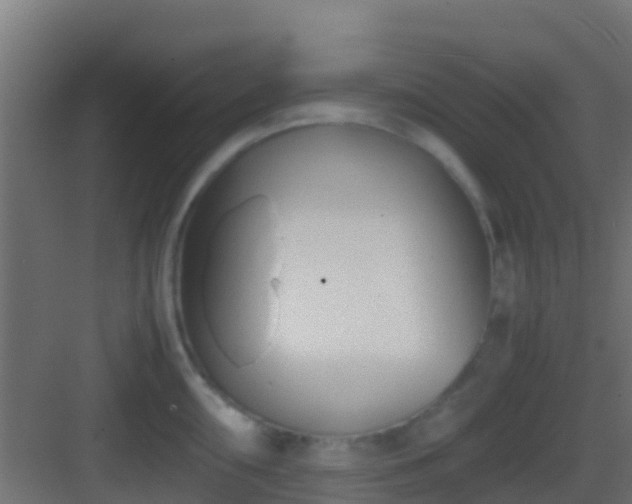 X0000083011098200702091244