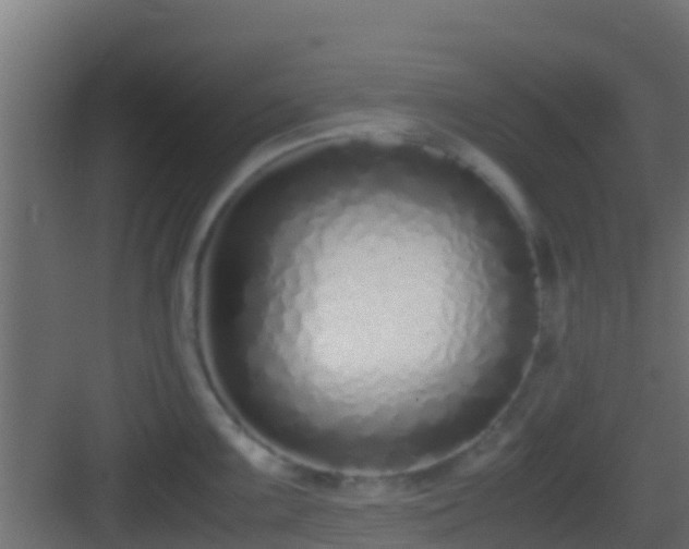 X0000083011099200702091244