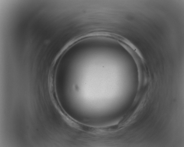 X0000083011101200702091244