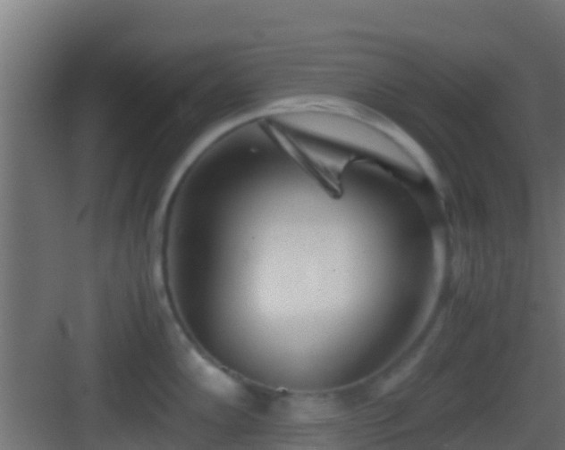 X0000083011102200702091244