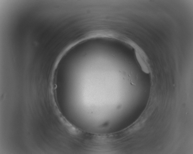 X0000083011104200702091244