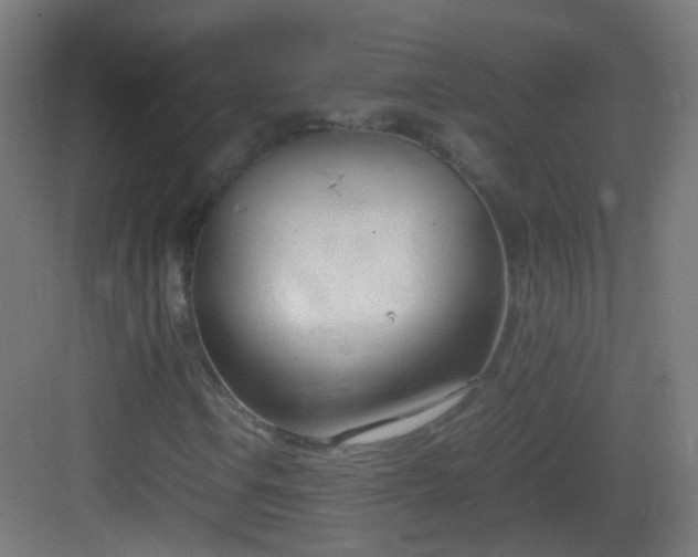 X0000083011106200702091243