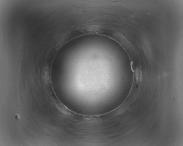 X0000083011107200702091243