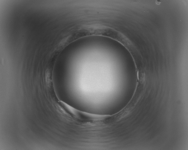 X0000083011108200702091243