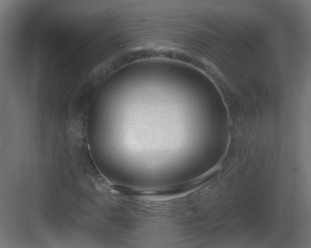 X0000083011110200702091243