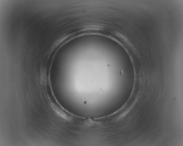 X0000083011113200702091243