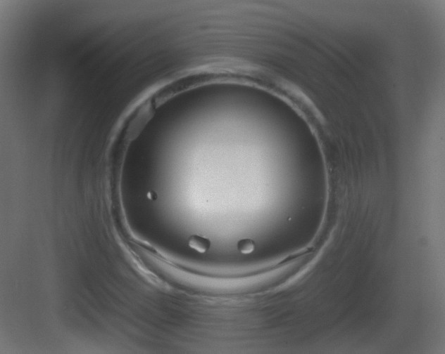 X0000083011114200702091243