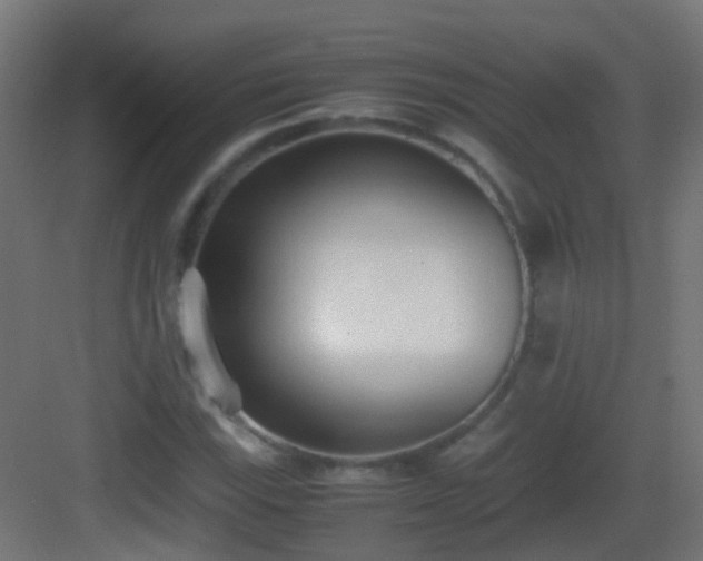 X0000083011115200702091243