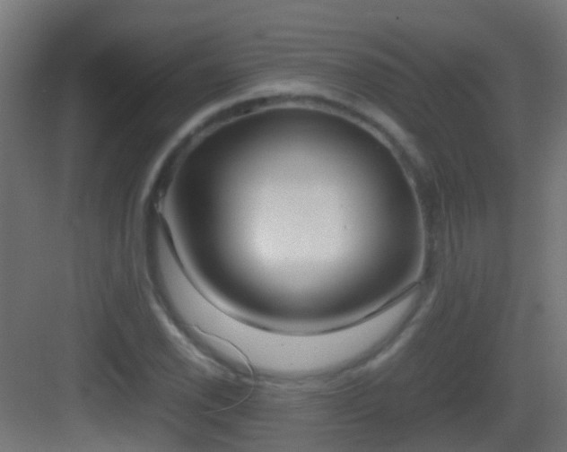 X0000083011118200702091243