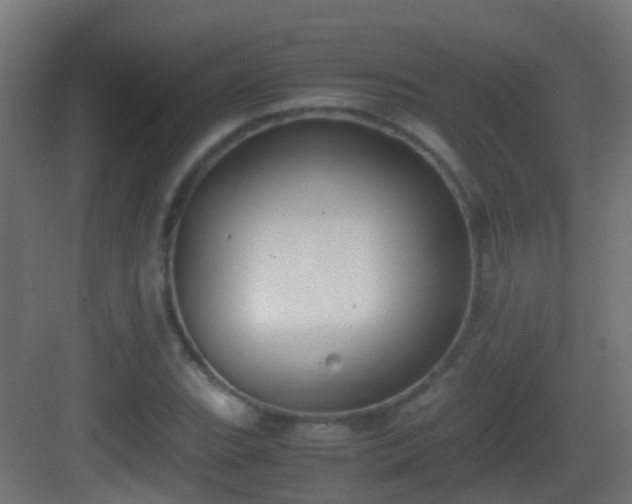 X0000083011119200702091243