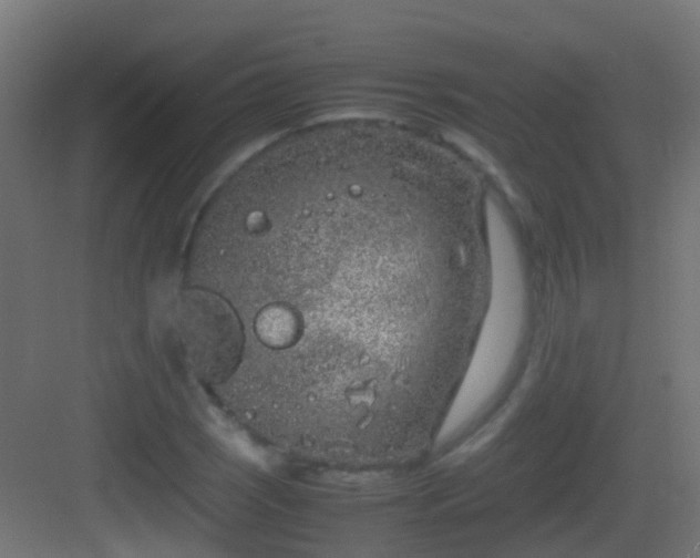 X0000083011121200702091243