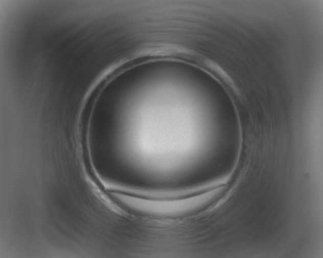 X0000083011122200702091243