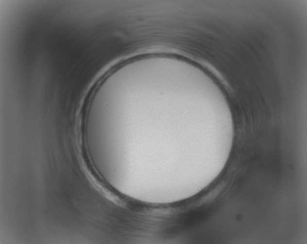 X0000083011126200702091244