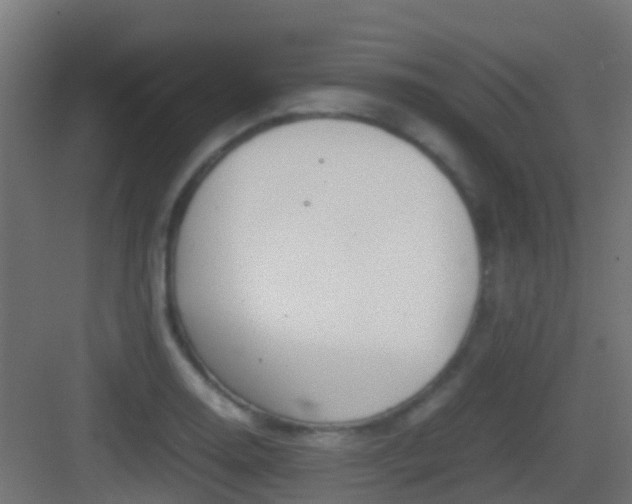 X0000083011130200702091244