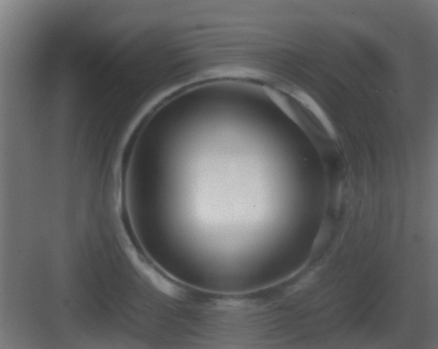 X0000083011132200702091244