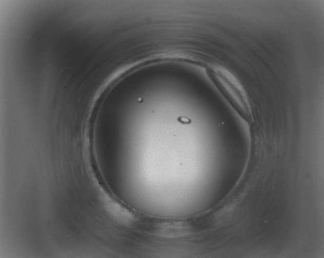 X0000083011133200702091244