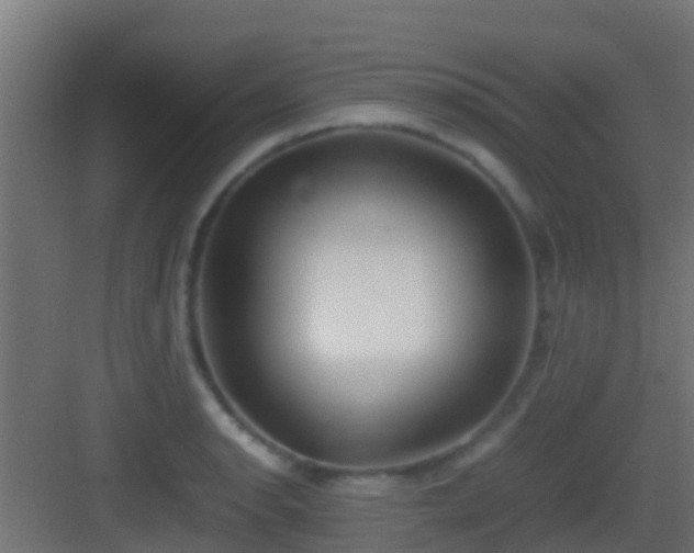 X0000083011134200702091244