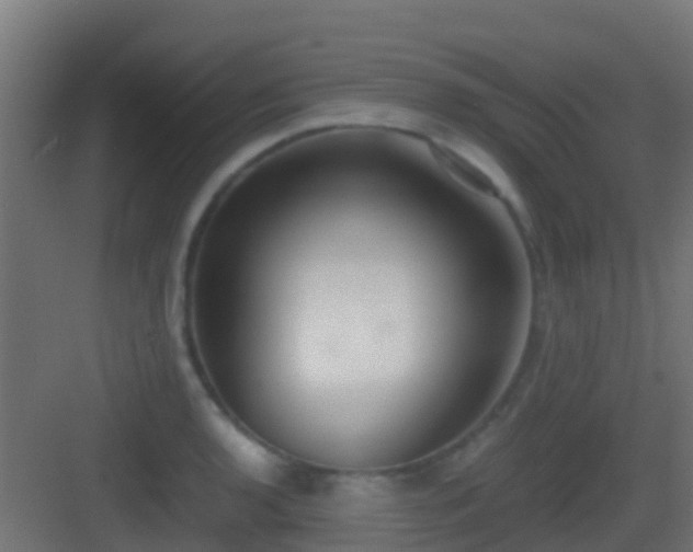 X0000083011136200702091244