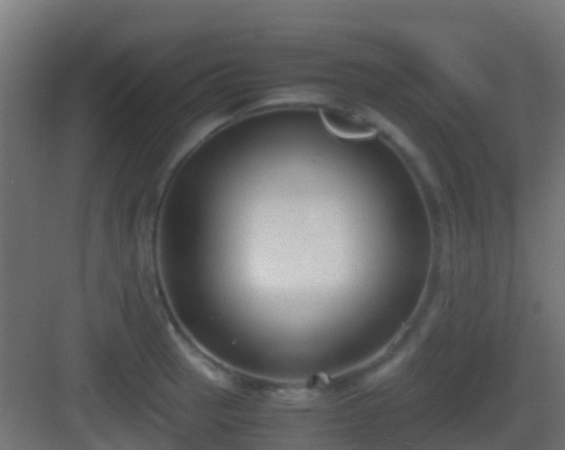 X0000083011137200702091244