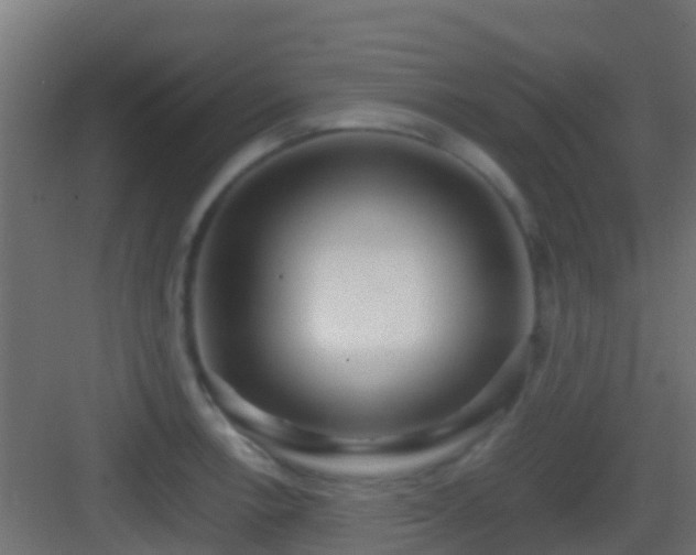 X0000083011138200702091244